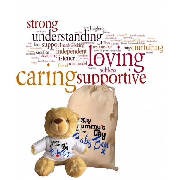 Personalised Mothers Day Teddy Bear With Matching Gift Bag - Baby Ben  Design